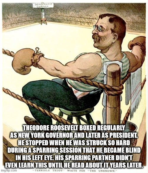 theodore roosevelt cartoon - Democratic Corner Theodore Roosevelt Boxed Regularly As New York Governor And Later As President. He Stopped When He Was Struck So Hard During A Sparring Session That He Became Blind In His Left Eye. His Sparring Partner Didn'