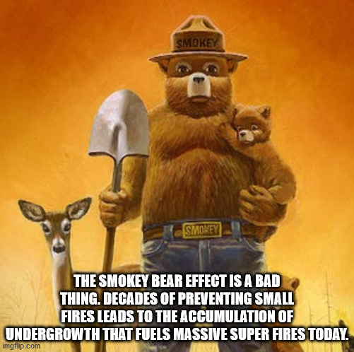 smokey bear - Smokey Smokey The Smokey Bear Effect Is A Bad Thing. Decades Of Preventing Small Fires Leads To The Accumulation Of Undergrowth That Fuels Massive Super Fires Today. imgflip.com