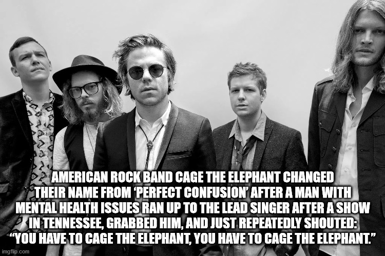 cage the elephant hd - 12 American Rock Band Cage The Elephant Changed Their Name From Perfect Confusion After A Man With Mental Health Issues Ran Up To The Lead Singer After A Show In Tennessee, Grabbed Him, And Just Repeatedly Shouted "You Have To Cage 