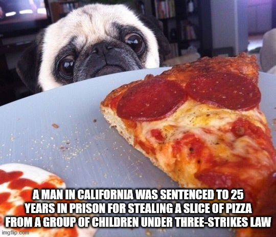 dogs and pizza - A Man In California Was Sentenced To 25 Years In Prison For Stealing A Slice Of Pizza From A Group Of Children Under ThreeStrikes Law imgflip.com