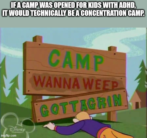 disney channel - If A Camp Was Opened For Kids With Adhd, It Would Technically Be A Concentration Camp. Camp Wanna Weep Gottagrin imgflip.com