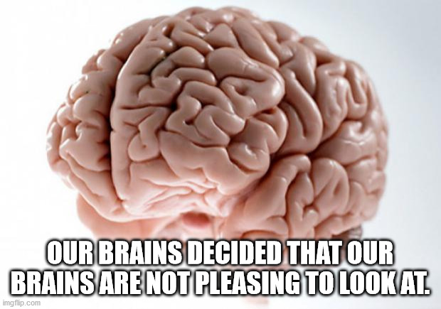 meme central - Our Brains Decided That Our Brains Are Not Pleasing To Look At. imgflip.com