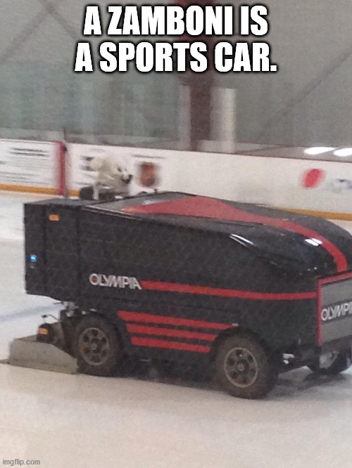 A Steaming Puddle of Shower Thoughts Gallery eBaum's World