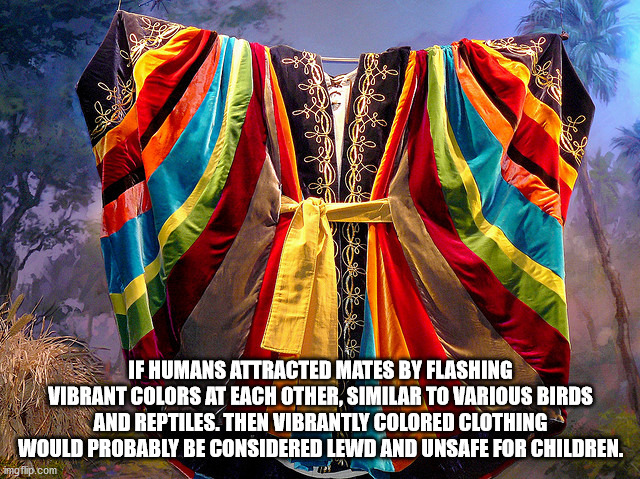 my coat of many colors - If Humans Attracted Mates By Flashing Vibrant Colors At Each Other, Similar To Various Birds And Reptiles. Then Vibrantly Colored Clothing Would Probably Be Considered Lewd And Unsafe For Children. imgflip.com