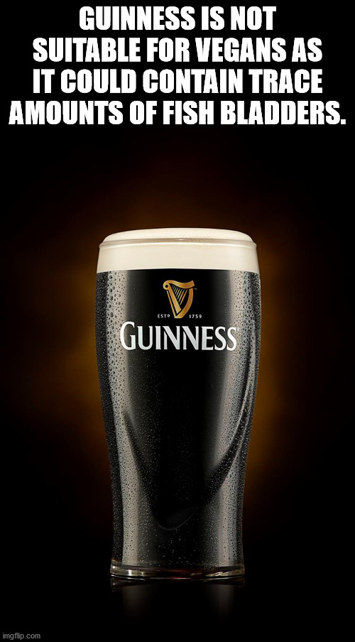 pint glass - Guinness Is Not Suitable For Vegans As It Could Contain Trace Amounts Of Fish Bladders. Esto 1759 Guinness imgflip.com