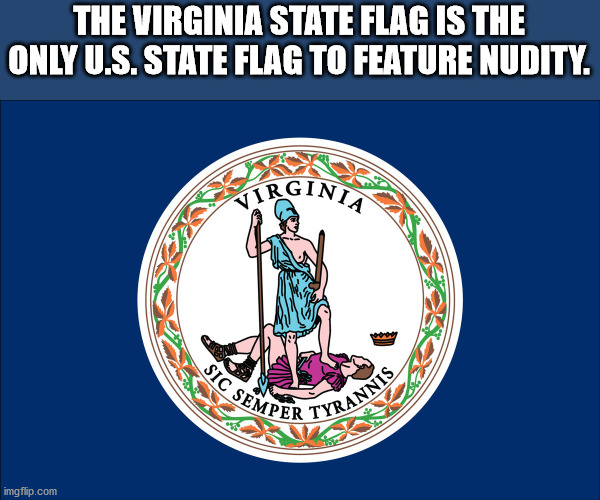 cartoon - Sic Semper Tyrannis The Virginia State Flag Is The Only U.S. State Flag To Feature Nudity. Virginia imgflip.com