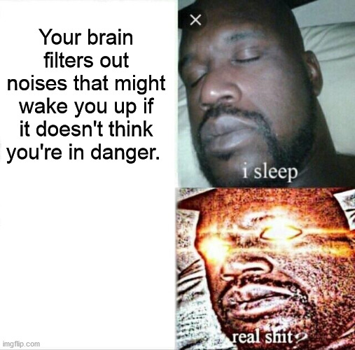 cia meme - X Your brain filters out noises that might wake you up if it doesn't think you're in danger. i sleep real shit? imgflip.com