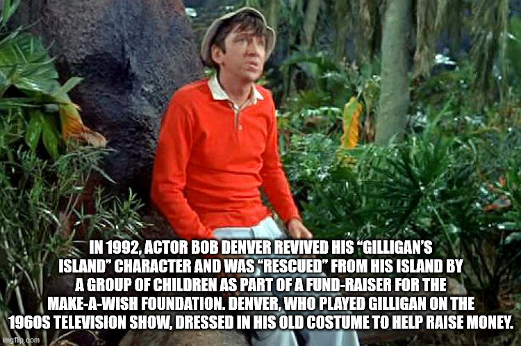 gilligan's island gilligan - In 1992, Actor Bob Denver Revived His "Gilligan'S Island" Character And Was Rescued" From His Island By A Group Of Children As Part Of A FundRaiser For The MakeAWish Foundation. Denver, Who Played Gilligan On The 1960S Televis