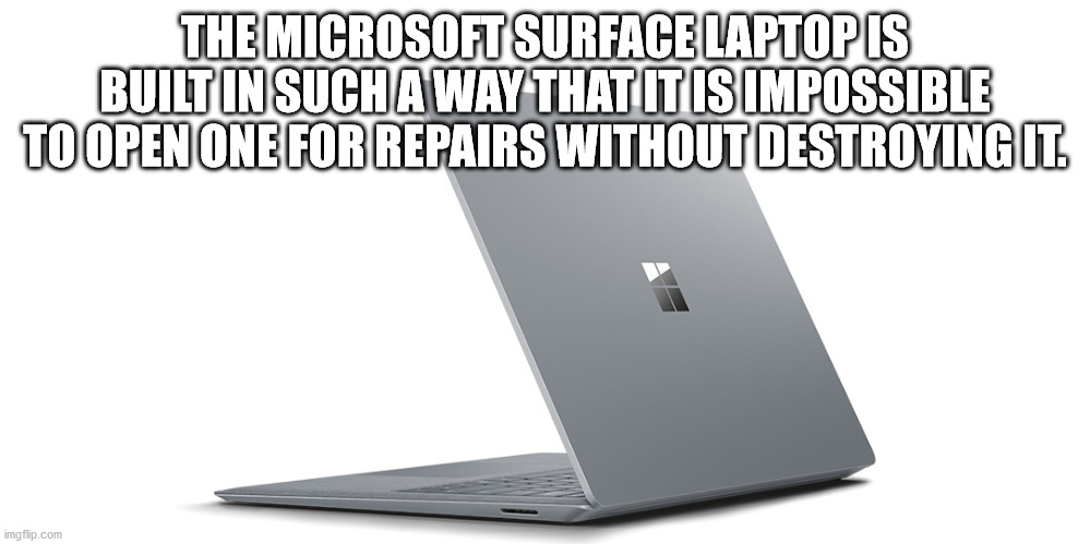 hipster kitty - The Microsoft Surface Laptop Is Built In Such A Way That It Is Impossible To Open One For Repairs Without Destroying It imgflip.com