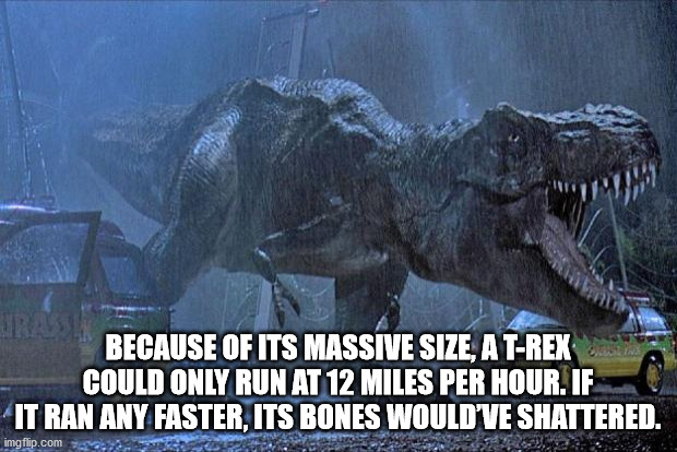 tyrannosaurus - Because Of Its Massive Size, A TRex Could Only Run At 12 Miles Per Hour. If It Ran Any Faster, Its Bones Would'Ve Shattered. imgflip.com