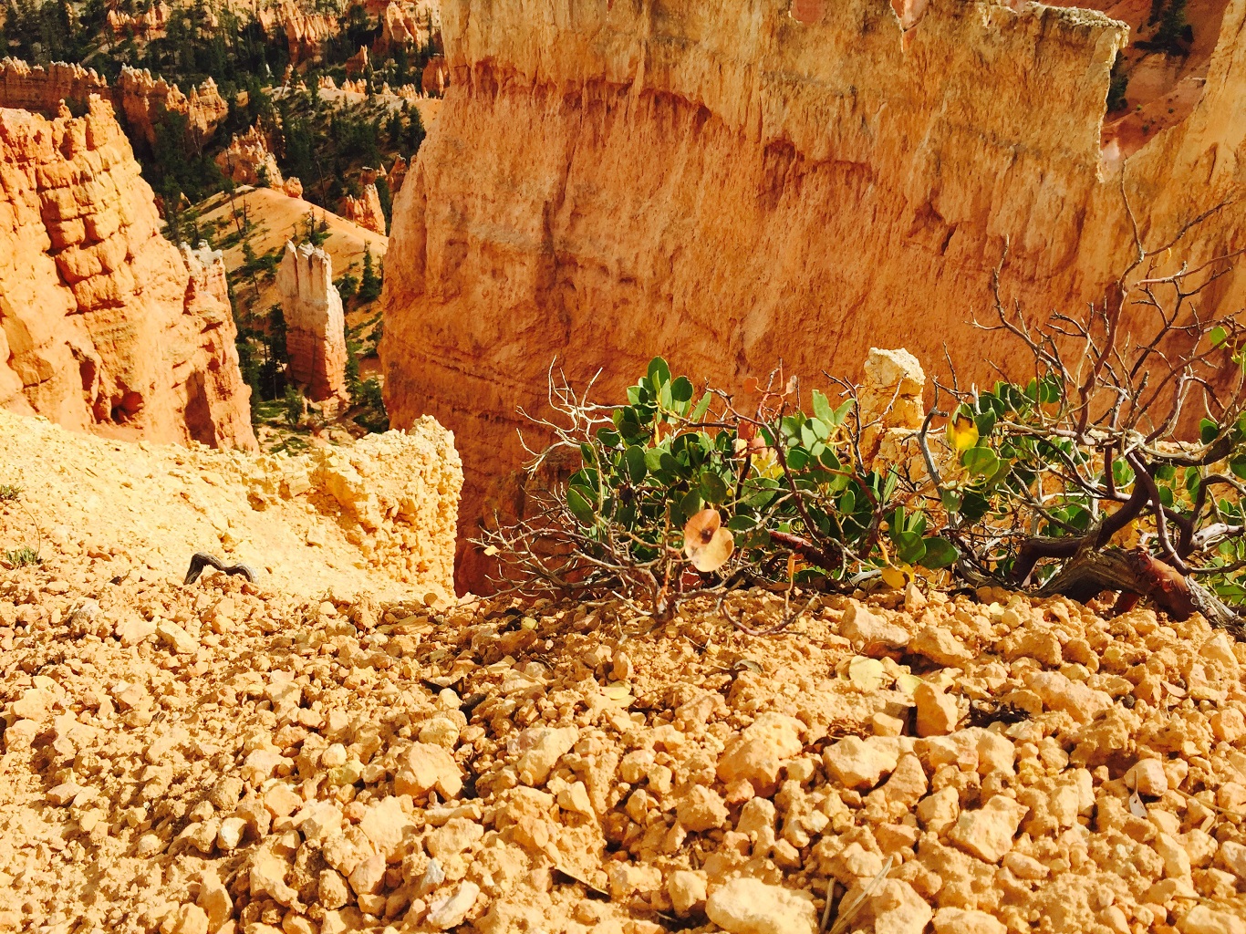 bryce canyon national park