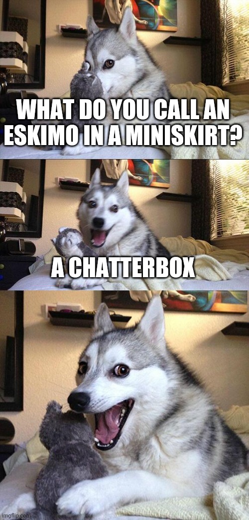 pun dog meme - What Do You Call An Eskimo In A Miniskirt? A Chatterbox imgflip.com