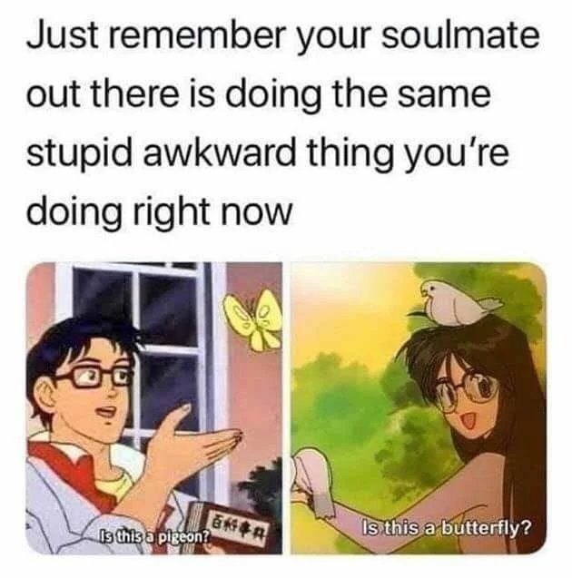 soulmate meme - Just remember your soulmate out there is doing the same stupid awkward thing you're doing right now Is this a butterfly? Is this a pigeon?