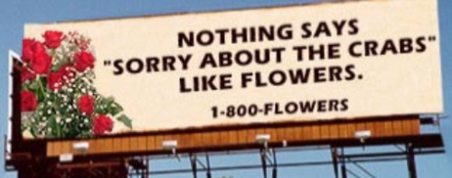 funny - Nothing Says "Sorry About The Crabs" Flowers. 1800Flowers