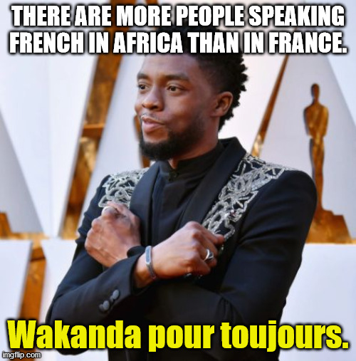 chadwick boseman wakanda forever - There Are More People Speaking French In Africa Than In France. Wakanda pour toujours. imgflip.com