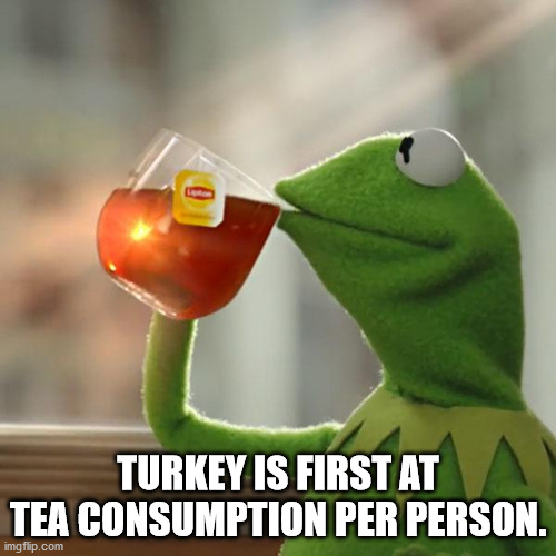 hard head makes a soft ass meme - Turkey Is First At Tea Consumption Per Person. imgflip.com