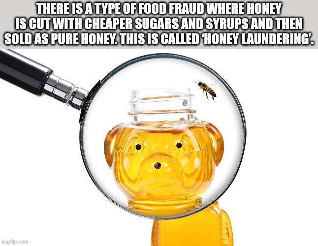 honey bear bottle - There Is A Type Of Food Fraud Where Honey Is Cut With Cheaper Sugars And Syrups And Then Sold As Pure Honey. This Is Called Honey Laundering'. imgflip.com