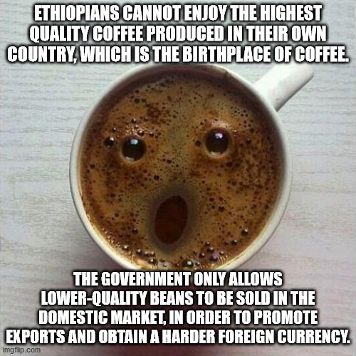 socially awkward penguin meme - Ethiopians Cannot Enjoy The Highest Quality Coffee Produced In Their Own Country, Which Is The Birthplace Of Coffee. The Government Only Allows LowerQuality Beans To Be Sold In The Domestic Market, In Order To Promote Expor