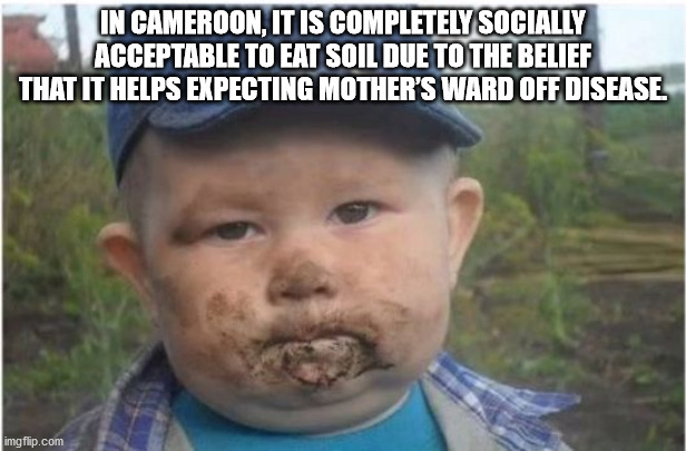 3 years old meme - In Cameroon, It Is Completely Socially Acceptable To Eat Soil Due To The Belief That It Helps Expecting Mother'S Ward Off Disease imgflip.com