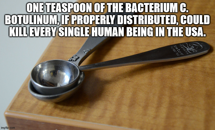 thought you were never coming - ces One Teaspoon Of The Bacterium C. Botulinum, If Properly Distributed, Could Kill Every Single Human Being In The Usa. imgflip.com