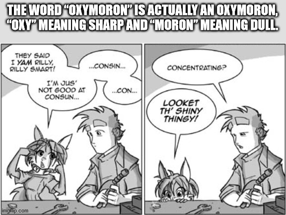 you mean to tell me - The Word "Oxymoron" Is Actually An Oxymoron, "Oxy" Meaning Sharp And Moron Meaning Dull. Concentrating? They Said I Yam Rilly, Rilly Smart! ...Consin... I'M Jus Not Good At ...Con... Consun... Looket Th' Shiny Thingy! imgflip.com