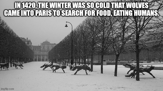In 1420, The Winter Was So Cold That Wolves Came Into Paris To Search For Food, Eating Humans. imgflip.com