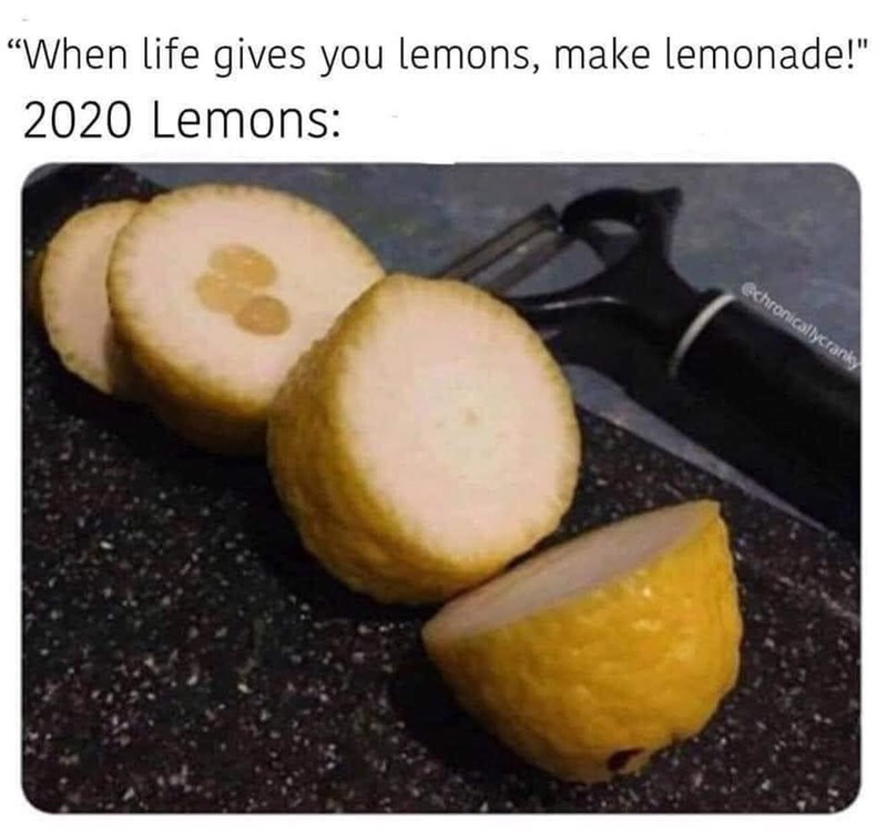 sums up 2020 - When life gives you lemons, make lemonade!" 2020 Lemons