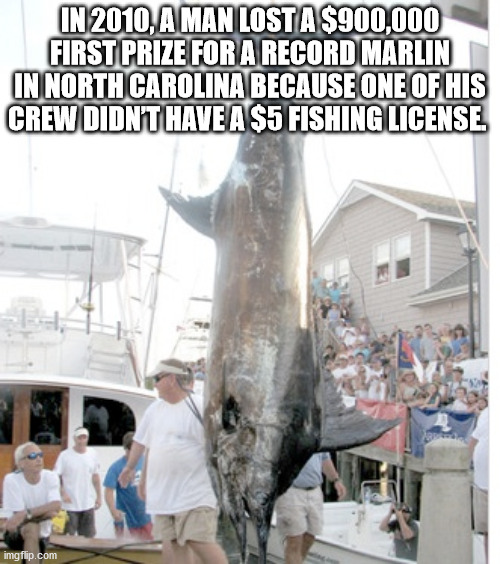 big rock north carolina - In 2010, A Man Losta $900,000 First Prize For A Record Marlin In North Carolina Because One Of His Crew Didn'T Have A $5 Fishing License imgflip.com