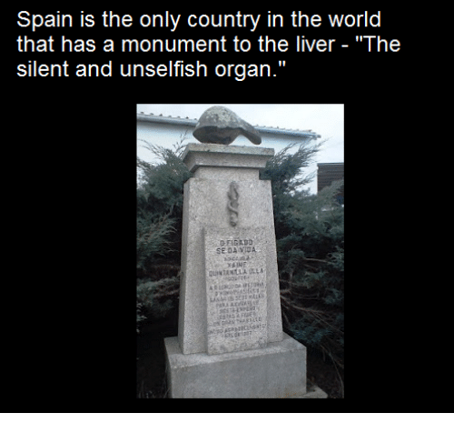 stone carving - Spain is the only country in the world that has a monument to the liver "The silent and unselfish organ." Figado Se Da Vida Ne Dealer