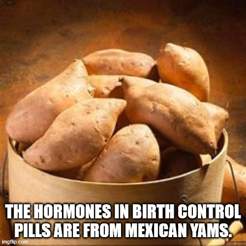 The Hormones In Birth Control Pills Are From Mexican Yams. imgflip.com