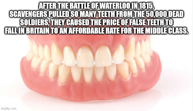 affordable dentures - After The Battle Of Waterloo In 1815, Scavengers Pulled So Many Teeth From The 50,000 Dead Soldiers, They Caused The Price Of False Teeth To Fall In Britain To An Affordable Rate For The Middle Class. imgflip.com