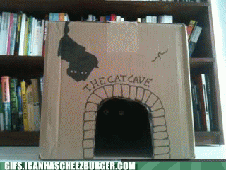 The Cat Cave Gifs.Icanhascheezburger.Com