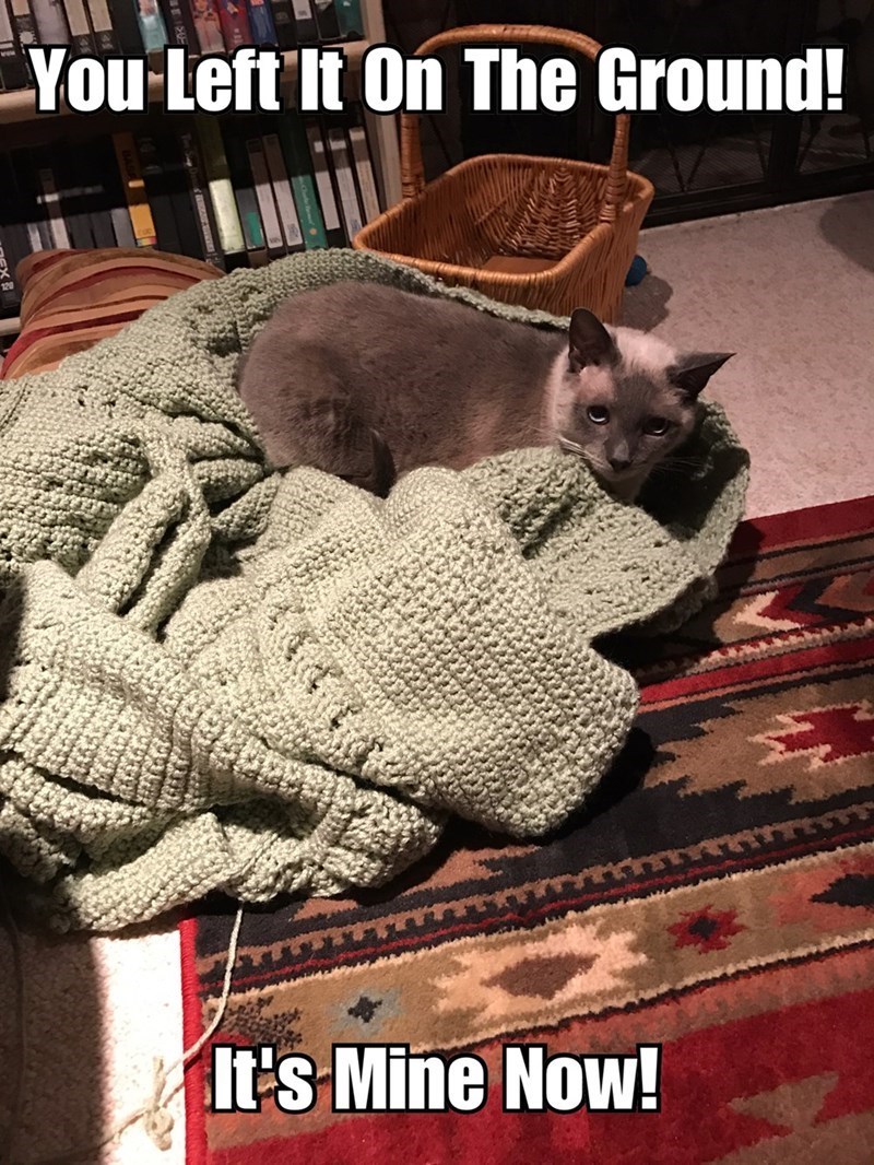 cat crochet meme - You Left It On The Ground! It's Mine Now!
