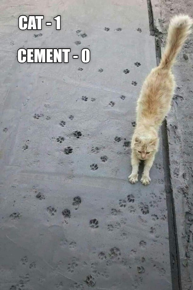 my job here is done cat - Cat1 Cement 0