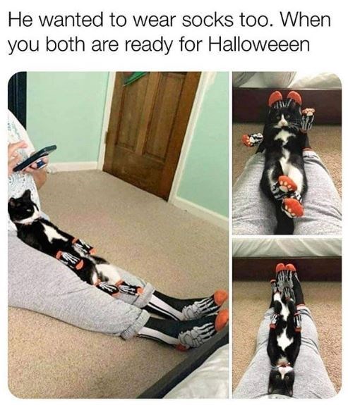 human leg - He wanted to wear socks too. When you both are ready for Halloweeen