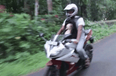 funny animals motorcycles gif