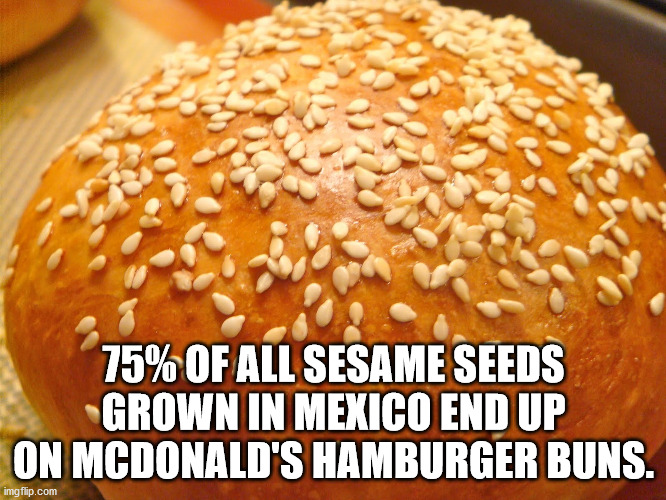 baked goods - 75% Of All Sesame Seeds Grown In Mexico End Up On Mcdonald'S Hamburger Buns. imgflip.com