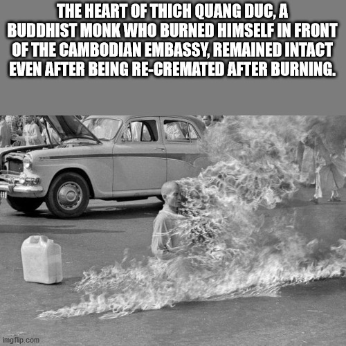 burning monk - The Heart Of Thich Quang Duc, A Buddhist Monk Who Burned Himself In Front Of The Cambodian Embassy, Remained Intact Even After Being ReCremated After Burning. imgflip.com