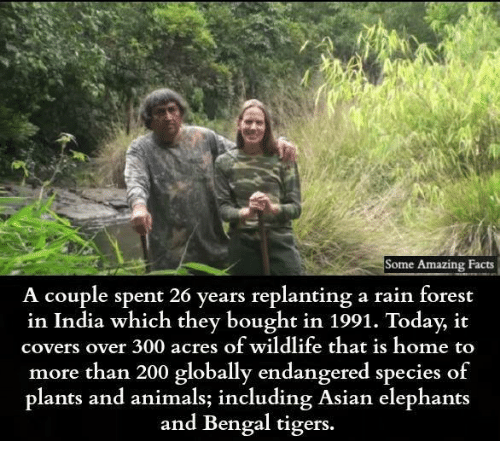 pamela and dr anil malhotra - Some Amazing Facts A couple spent 26 years replanting a rain forest in India which they bought in 1991. Today, it covers over 300 acres of wildlife that is home to more than 200 globally endangered species of plants and anima