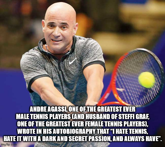 tennis player - Andre Agassi, One Of The Greatest Ever Male Tennis Players And Husband Of Steffi Graf, One Of The Greatest Ever Female Tennis Players, Wrote In His Autobiography That I Hate Tennis, Hate It With A Dark And Secret Passion, And Always Have. 