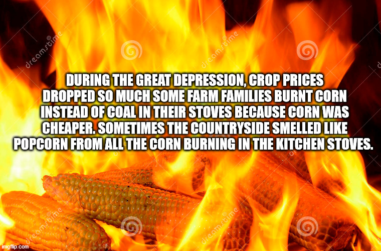 heat - dreamstime dreamstime During The Great Depression, Crop Prices Dropped So Much Some Farm Families Burnt Corn Instead Of Coal In Their Stoves Because Corn Was Cheaper. Sometimes The Countryside Smelled Popcorn From All The Corn Burning In The Kitche