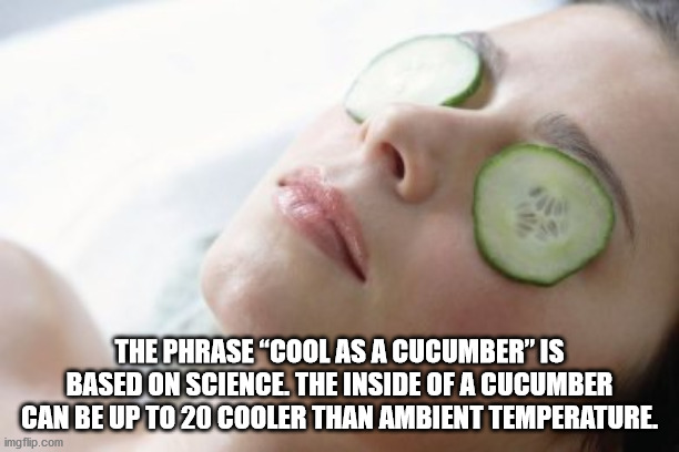 cucumber on eyes - The Phrase "Cool As A Cucumber" Is Based On Science. The Inside Of A Cucumber Can Be Up To 20 Cooler Than Ambient Temperature imgflip.com