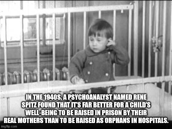 photo caption - In The 1940S, A Psychoanalyst Named Rene Spitz Found That It'S Far Better For A Child'S WellBeing To Be Raised In Prison By Their Real Mothers Than To Be Raised As Orphans In Hospitals. imgflip.com