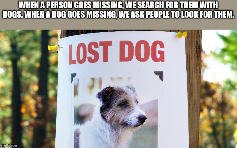 lost dog - When A Person Goes Missing, We Search For Them With Dogs. When A Dog Goes Missing, We Ask People To Look For Them. Lost Dog imgflip.com