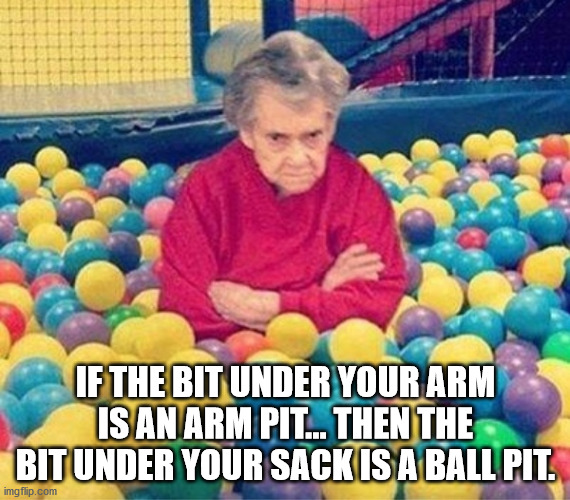 old lady in ball pit meme - If The Bit Under Your Arm Is An Arm Pit...Then The Bit Under Your Sack Is A Ball Pit. imgflip.com