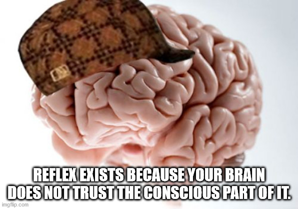 scumbag brain memes - Reflex Exists Because Your Brain Does Not Trust The Conscious Part Of It. imgflip.com