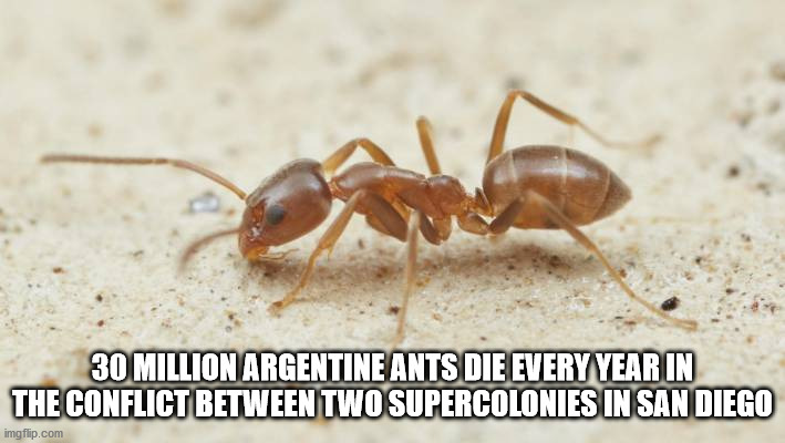 More Fun Facts For Your Trivial Pursuits