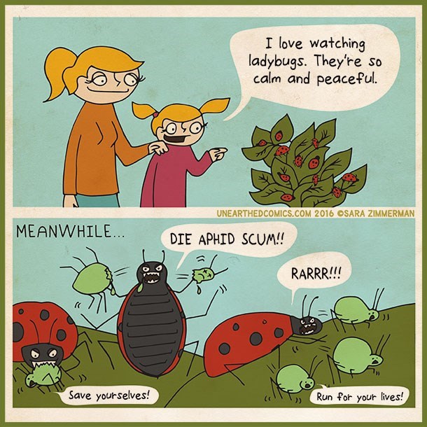 ladybug aphid meme - Scross I love watching ladybugs. They're so calm and peaceful. Unearthed Comics.Com 2016 Osara Zimmerman Meanwhile... Die Aphid Scum!! Rarrr!!! Save yourselves! Run for your lives!