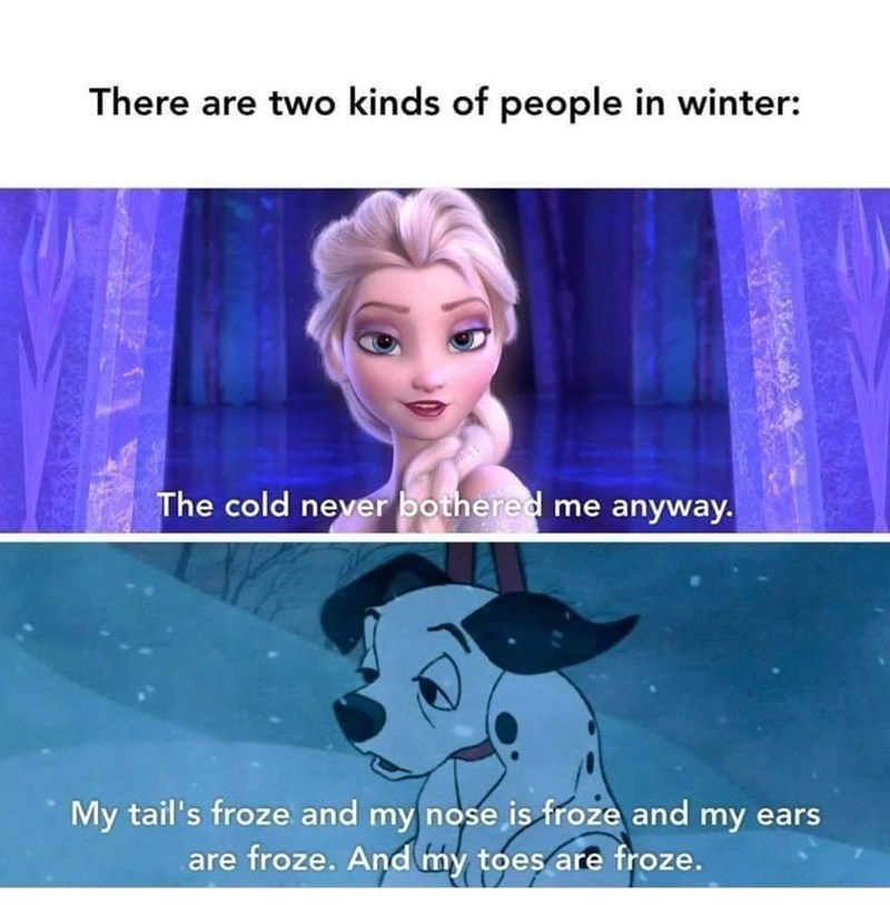 quote the cold never bothered me anyway - There are two kinds of people in winter The cold never bothered me anyway. My tail's froze and my nose is froze and my ears are froze. And my toes are froze.