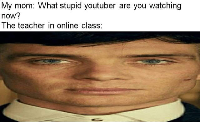 YouTuber - My mom What stupid youtuber are you watching now? The teacher in online class